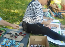 Originální hmyzáci ruční výroby