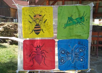 Svět hmyzu na letním táboře v Ktiši