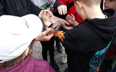 Třeboňská záchranná stanice pro volně žijící zvířata