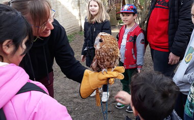 Třeboňská záchranná stanice pro volně žijící zvířata