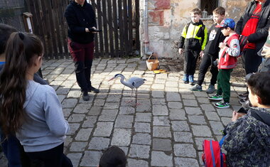 Třeboňská záchranná stanice pro volně žijící zvířata