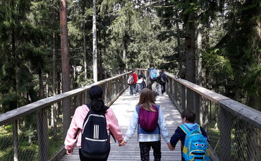 Stezka korunami stromů