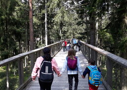 Stezka korunami stromů