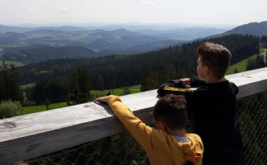 Stezka korunami stromů