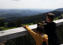 Stezka korunami stromů