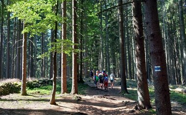 Celodenní výlet aneb šlapeme dál