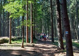 Celodenní výlet aneb šlapeme dál