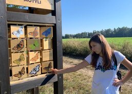 Trocha poučení - poznávání motýlů