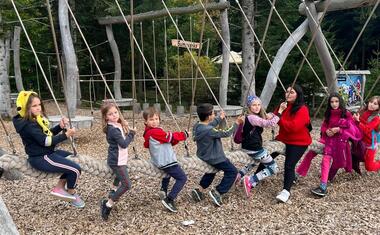 Království lesa a oblíbená houpačka