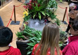 Společně obdivujeme tu nádheru