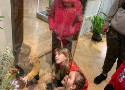 Obdivujeme orchideje vypadající jako opičky