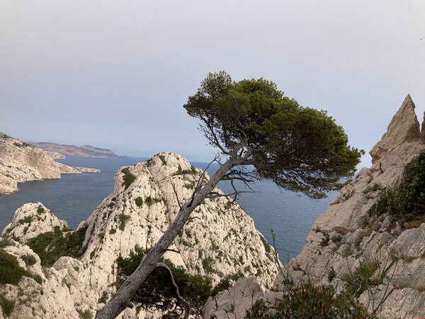 panoramata